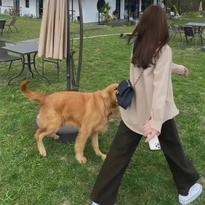 狐狸猎手